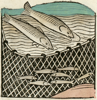 poisson