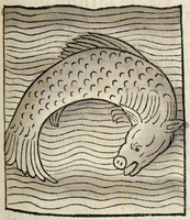 poisson