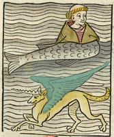 poisson