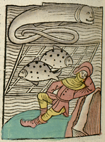 poisson