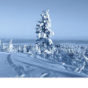 Erasmus+ à Oulu, Finlande