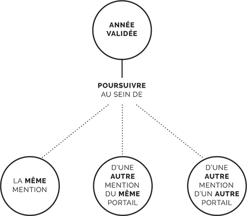 Schéma spécialisation progressive en licence