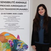 La sensibilité animale : approches juridiques et enjeux transdisciplinaires