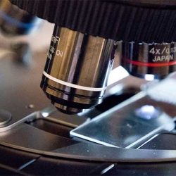 Lire la suite à propos de l’article Centre de Microscopie Appliquée à la Biologie (CMABio3)