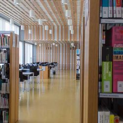 Lire la suite à propos de l’article Service commun de la documentation (SCD)