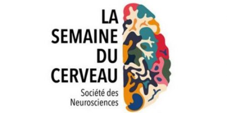 2021 Semaine du cerveau