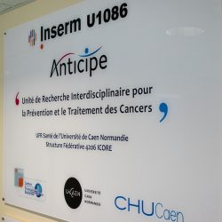 Lire la suite à propos de l’article Cancer du sein : « l’accès au dépistage pour toutes est une question d’équité »