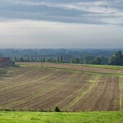 Lire la suite à propos de l’article UMR 6266 – Identité et différenciation de l’espace, de l’environnement et des sociétés · IDEES