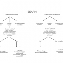 Lire la suite à propos de l’article BEARNI