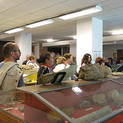 Musée de géologie