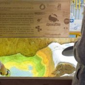 Concours Têtes chercheuses 2022