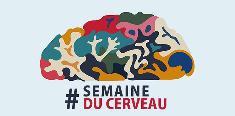 You are currently viewing Semaine du Cerveau