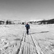 Carnet de voyage : Norvège