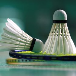Lire la suite à propos de l’article Pratique libre du badminton le samedi après-midi