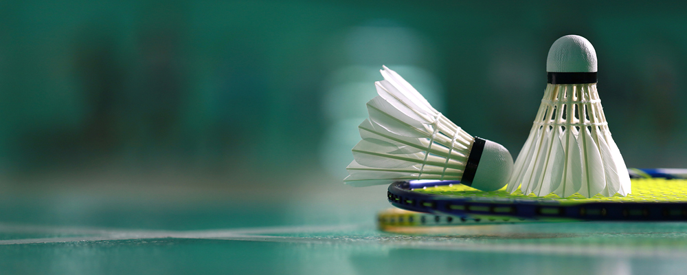 You are currently viewing Pratique libre du badminton le samedi après-midi
