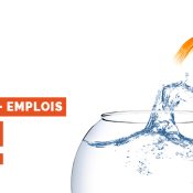 Forum OSE : Objectif – Stages – Emplois