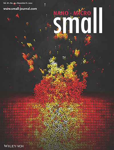 couverture de la revue scientifique SMALL (décembre 2022)