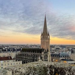 Lire la suite à propos de l’article Semaine des partenaires internationaux