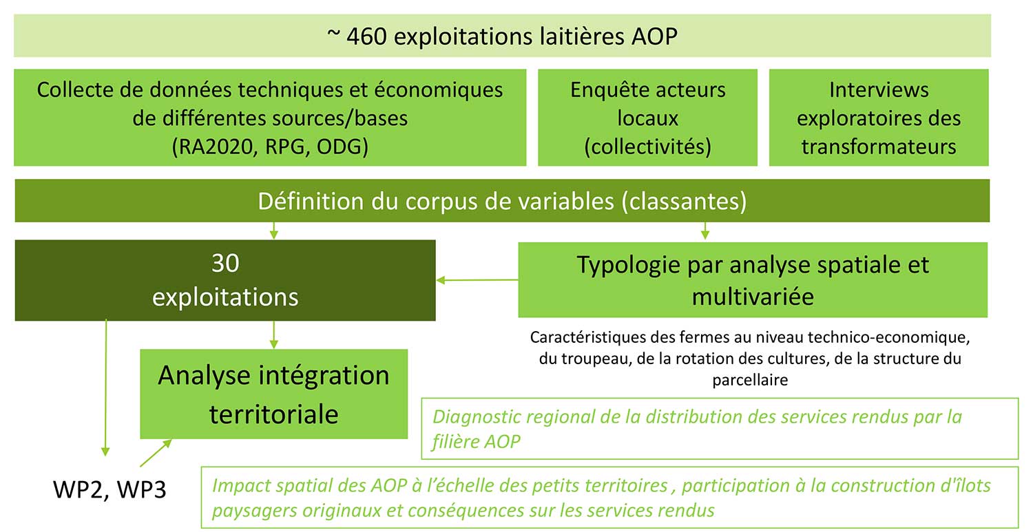 Les actions : WP1 = Caractérisation et typologie des fermes laitières AOP de Normandie et intégration territoriale