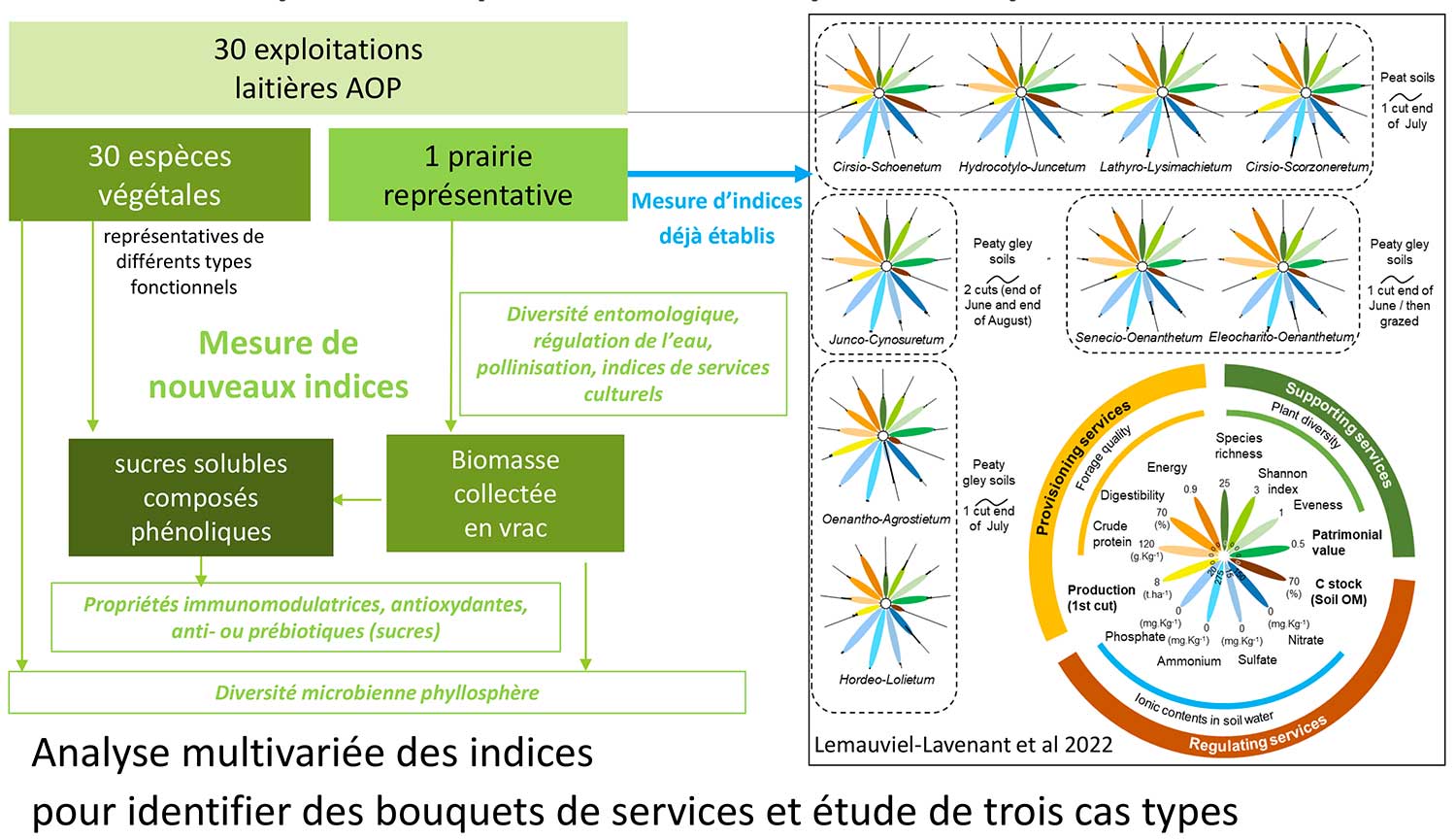 Les actions : WP2 = Étude des services écosystémiques rendus par les prairies