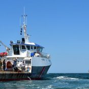 Les spécialistes des observatoires marins côtiers ont rendez-vous à Caen