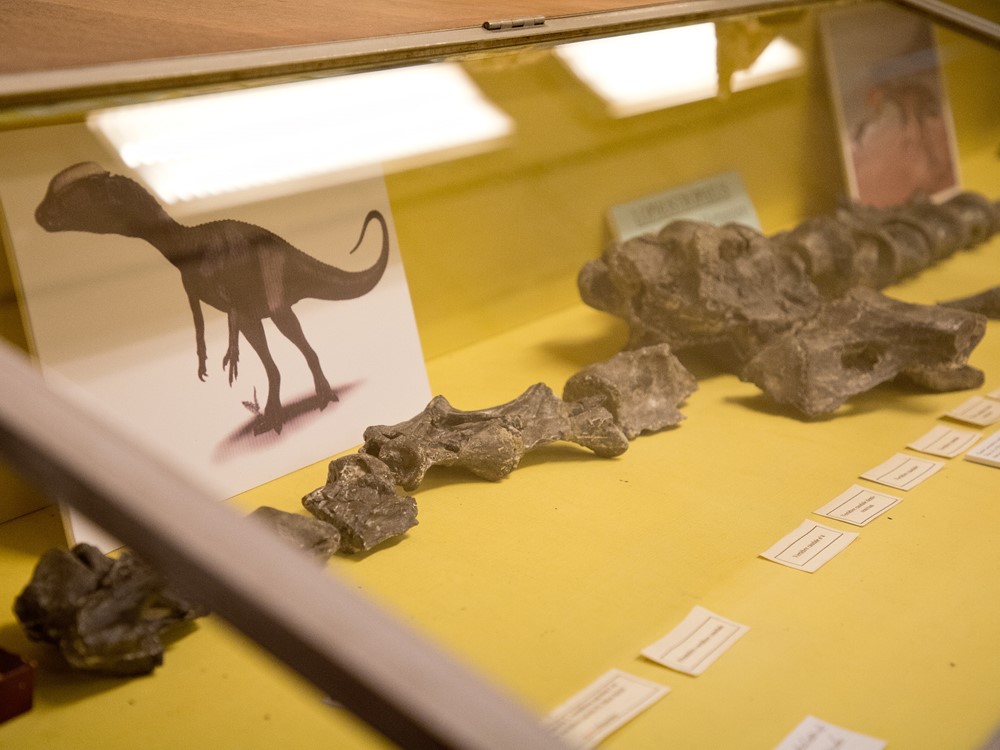 Musée de géologie