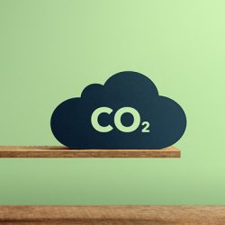 Lire la suite à propos de l’article Participez au challenge “Nos gestes climat” !