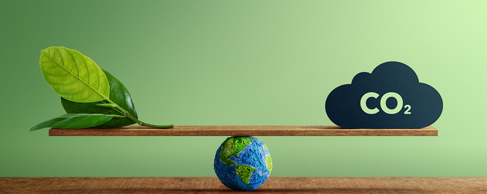 You are currently viewing Participez au challenge « Nos gestes climat » !