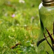 Retour sur le challenge nos gestes climat