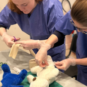 L’Hôpital des Nounours fête ses 20 ans !