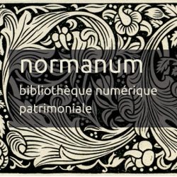 Visuel normanum