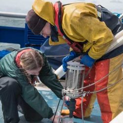 Lire la suite à propos de l’article UMR 7482 – Marine Ecosystems and oRganisms reSEArch Lab (MERSEA)
