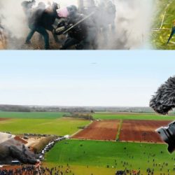 Visuel du documentaire Le vivant qui se défend