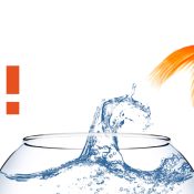 Forum OSE : le rendez-vous de l’insertion professionnelle