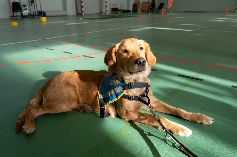 2025-12-03_Handicaps-et-emploi-ateliers_2