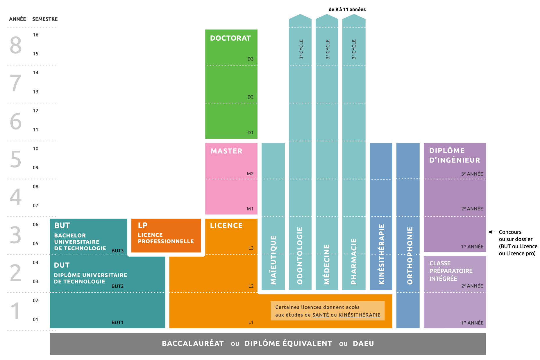 Schéma des études universitaires